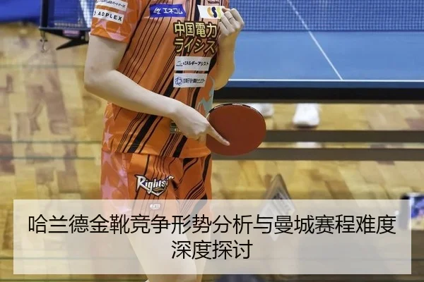 ha-lan-de-jin-xue-jing-zheng-xing-shi-fen-xi-yu-man-cheng-sai-cheng-nan-du-shen-du-tan-tao-1-619.jpg